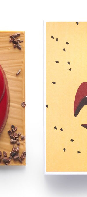 design culinaire / chocolat / Christophe Roussel